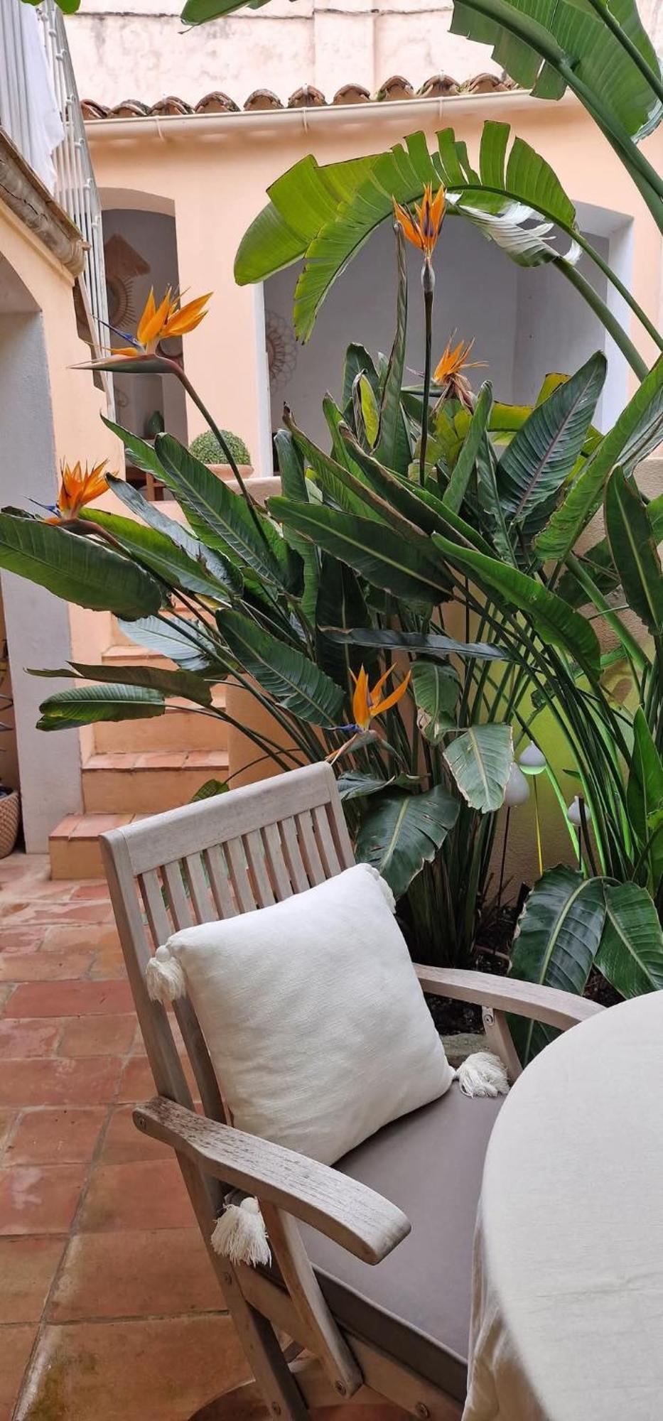Maison Magdeleine Saint-Tropez Kültér fotó