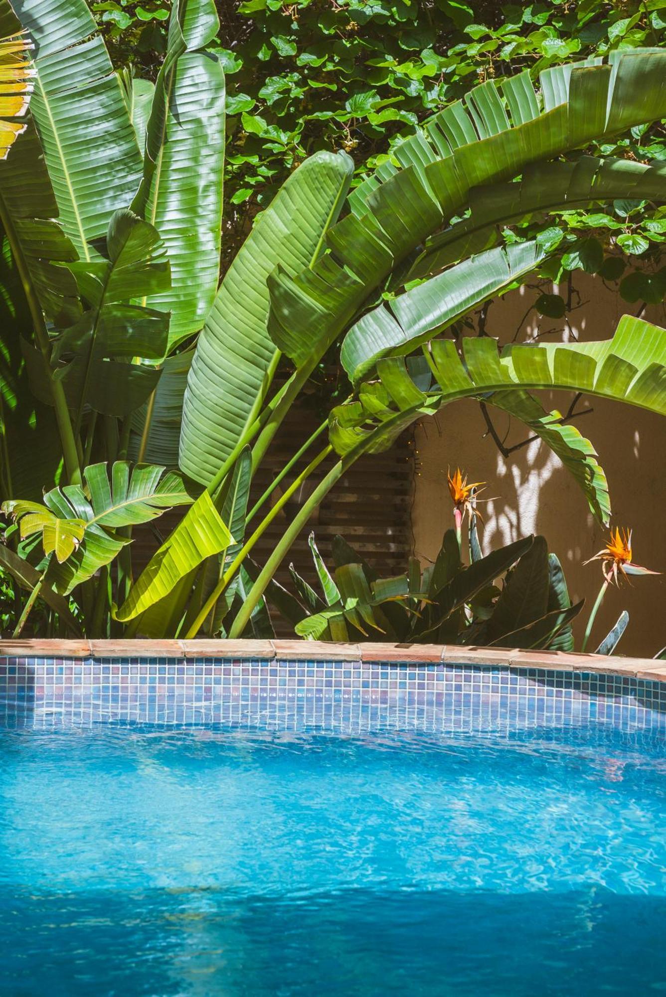 Maison Magdeleine Saint-Tropez Kültér fotó